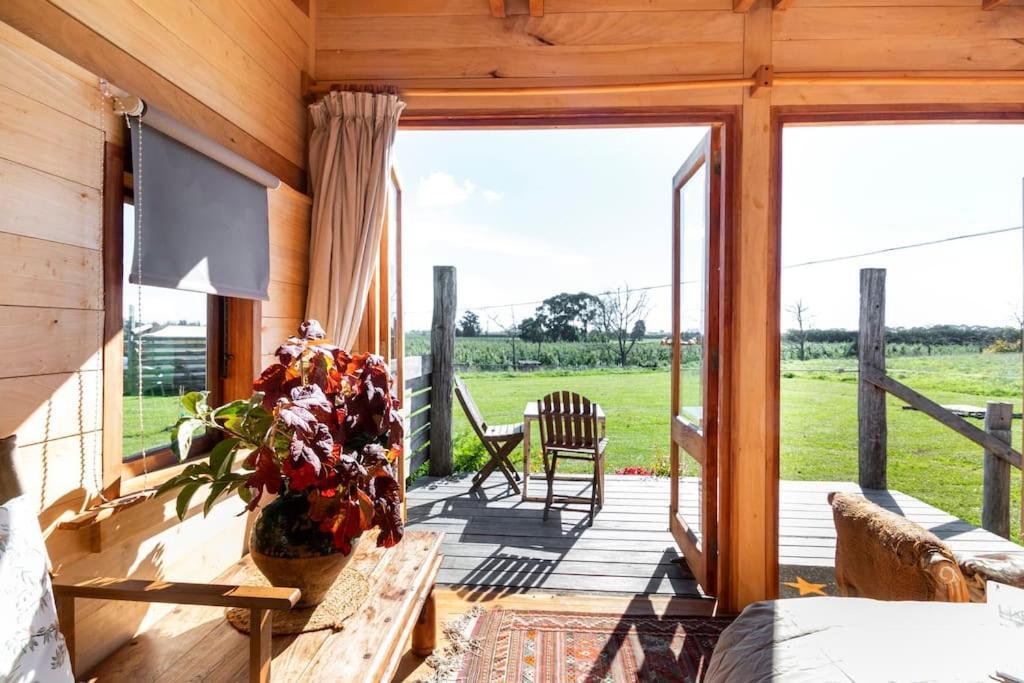 Freefall Hut Hastings Luaran gambar